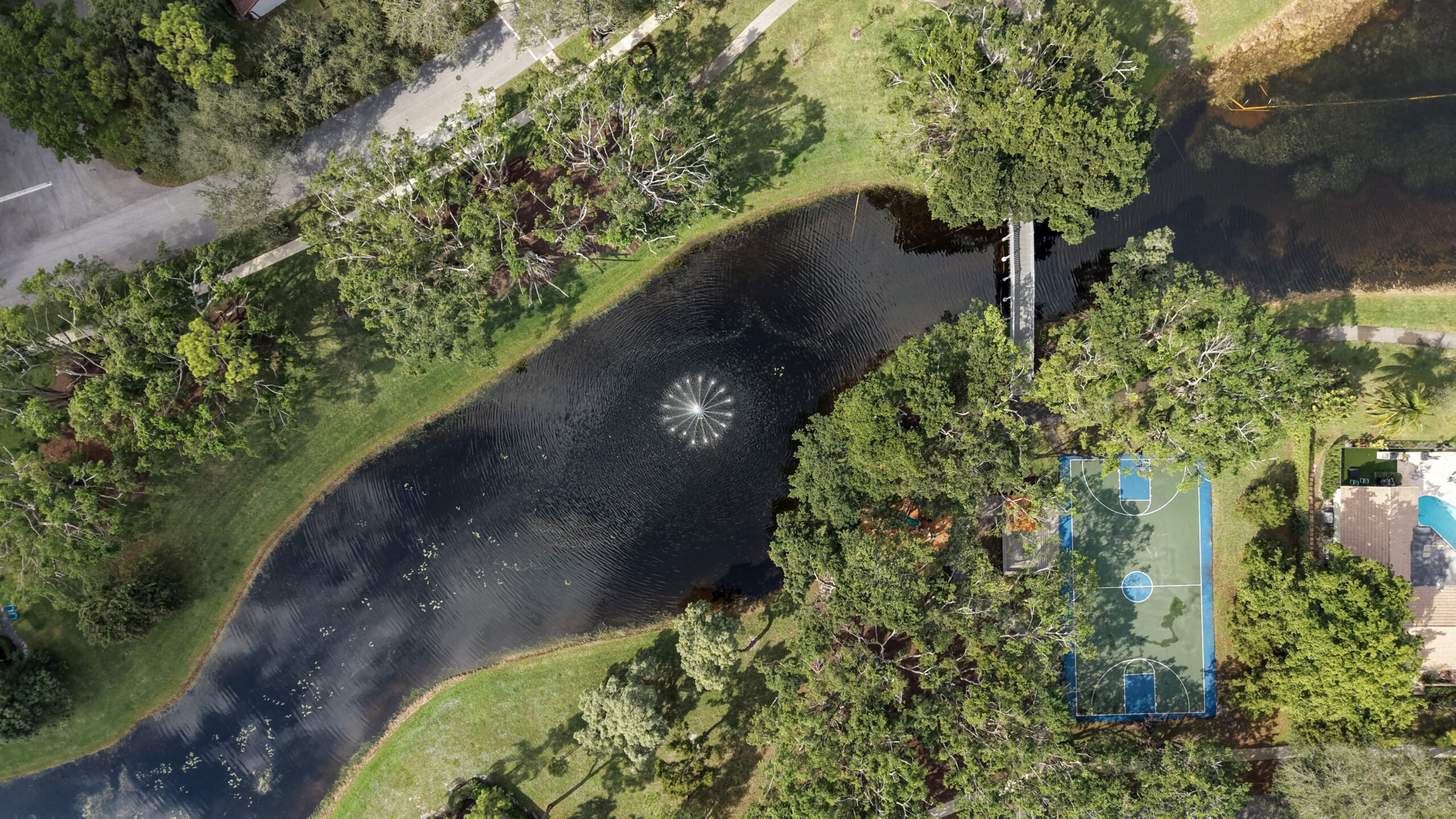 Millpond lake with fountain and surrounding homes