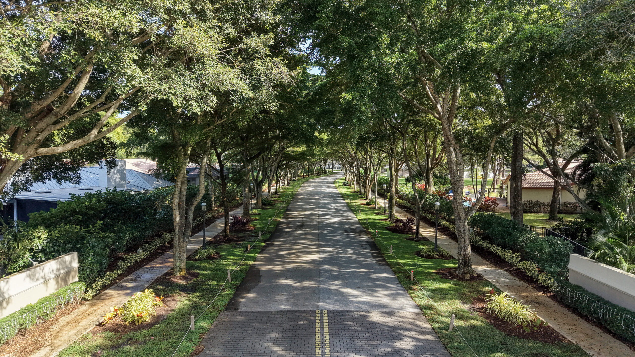 Aerial view of Millpond Boca Raton showing dense tree canopy and curved streets