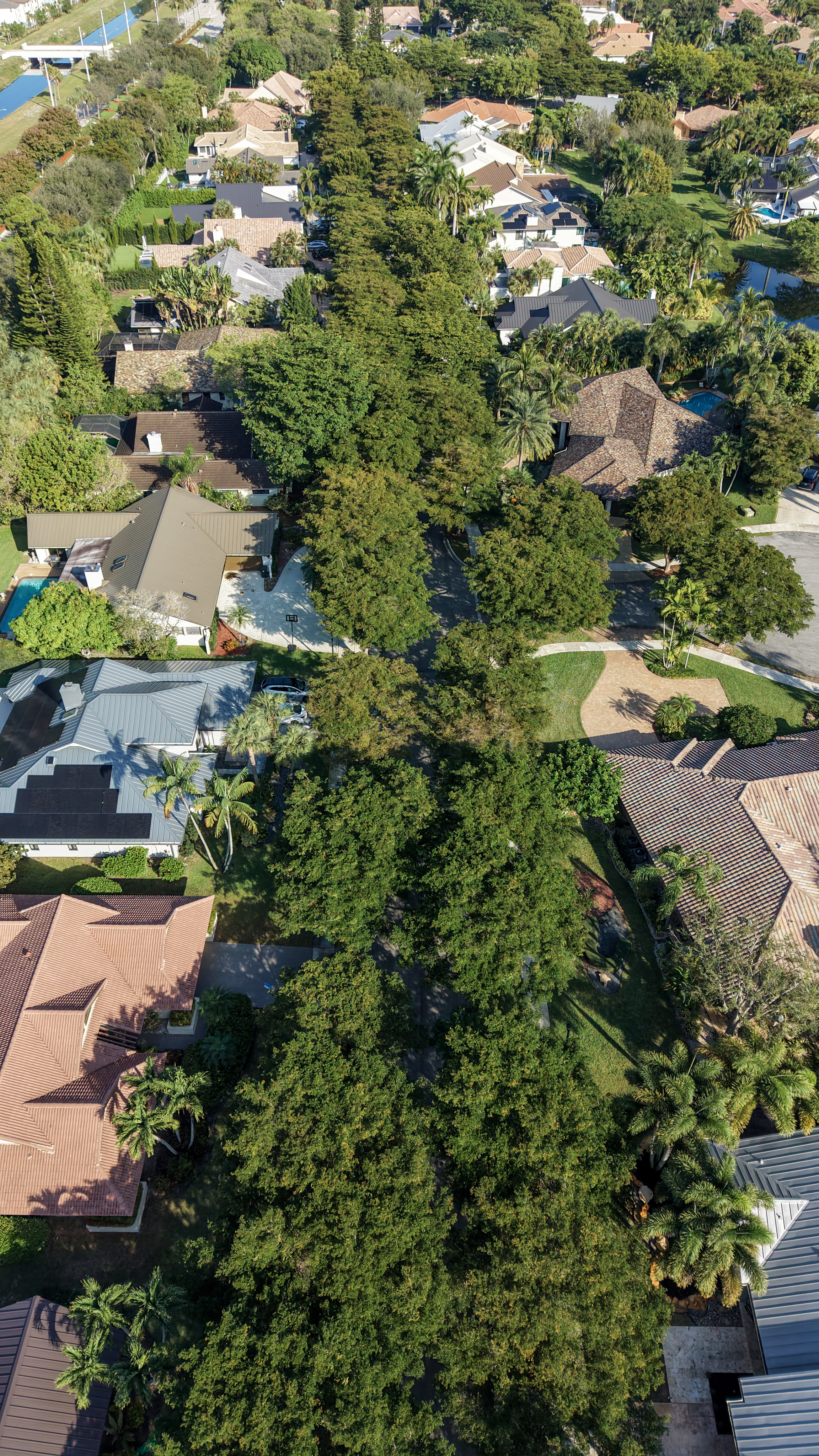 Tree tunnel street and mature canopy in Parkside Boca Raton