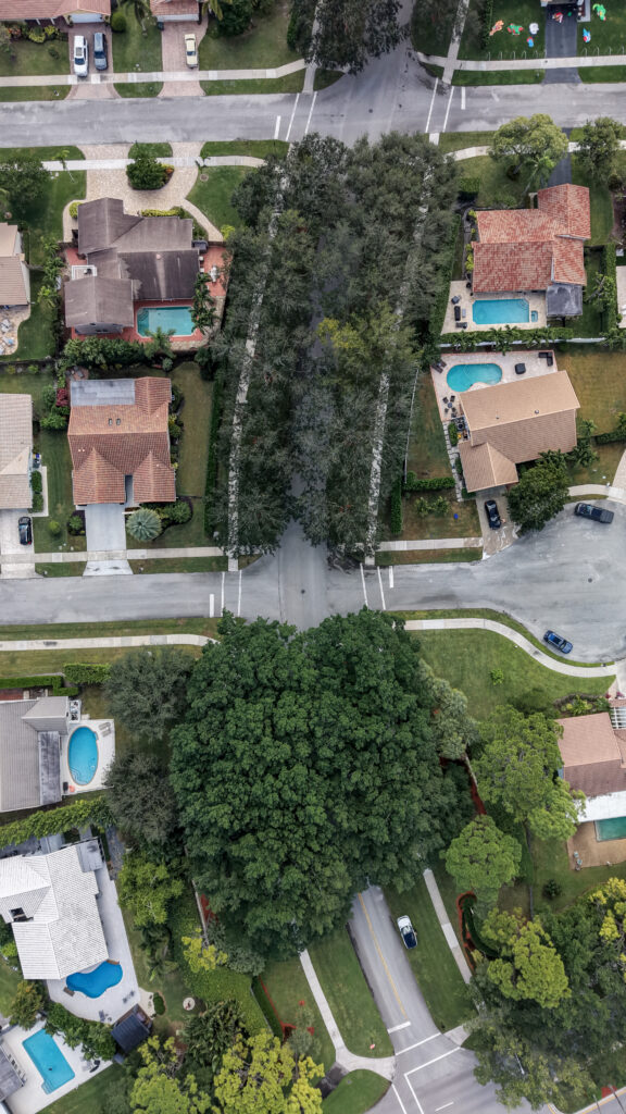 Top-down aerial of homes and mature tree canopy in Timbercreek Boca Raton